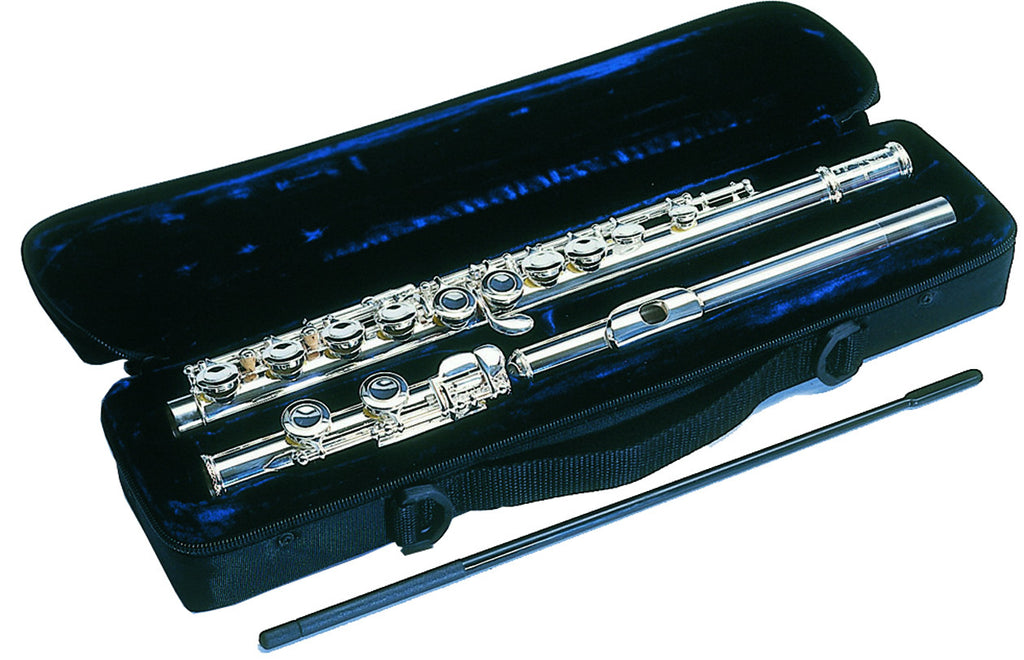 Trevor james cheap 10xe flute price