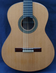 Castillo Classical Guitar 204