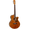 Tanglewood Sundance ProX47E